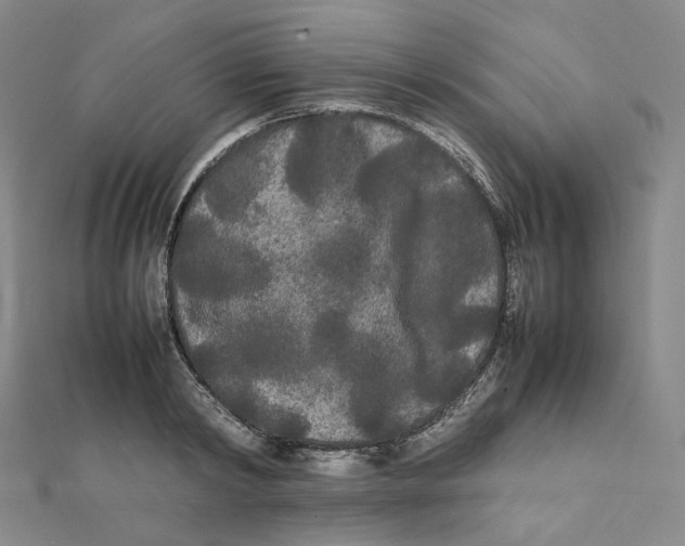 X0000112070798200909011021