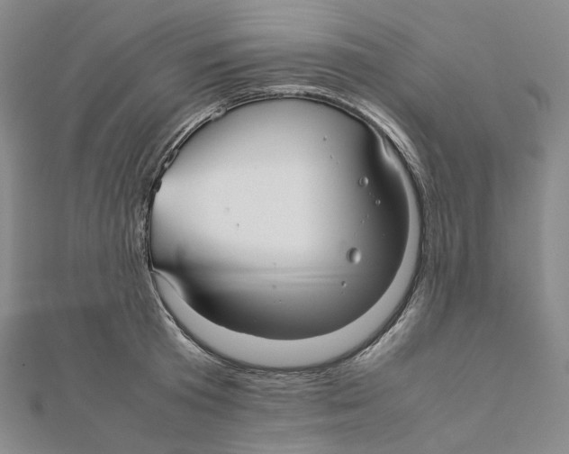 X0000112070801200909011021
