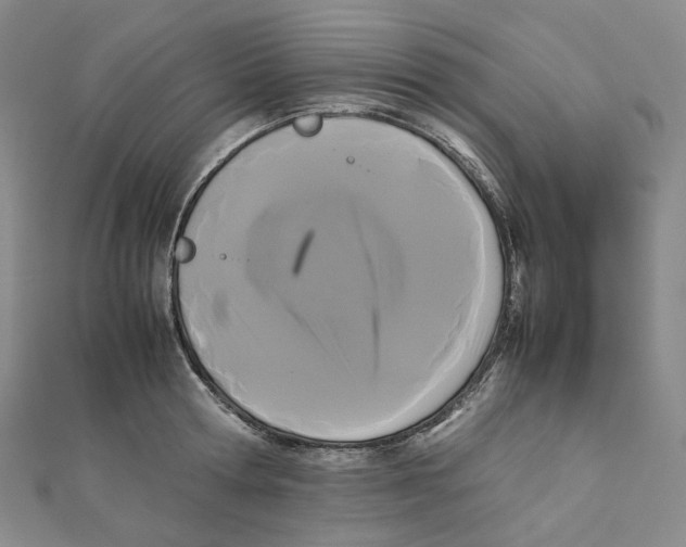 X0000112070802200909011021