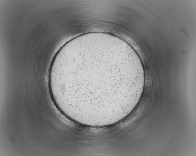X0000112070803200909011021