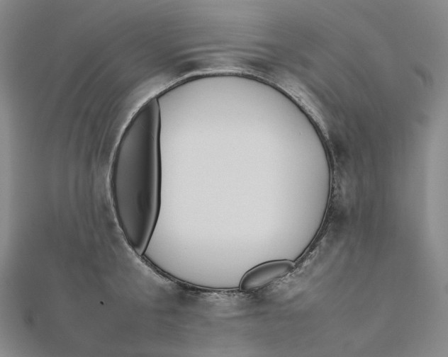 X0000112070805200909011021