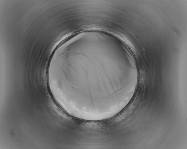 X0000112070806200909011021