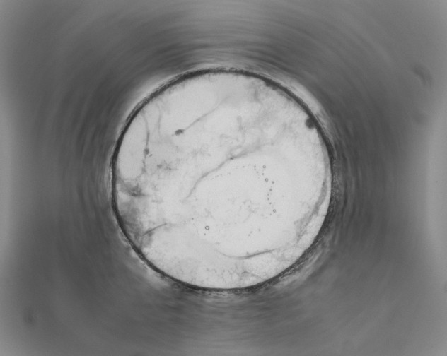X0000112070807200909011021