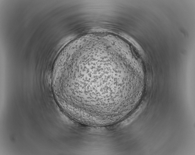 X0000112070809200909011021