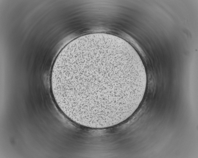 X0000112070810200909011021