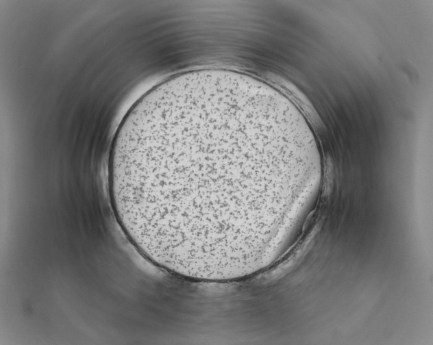 X0000112070812200909011021