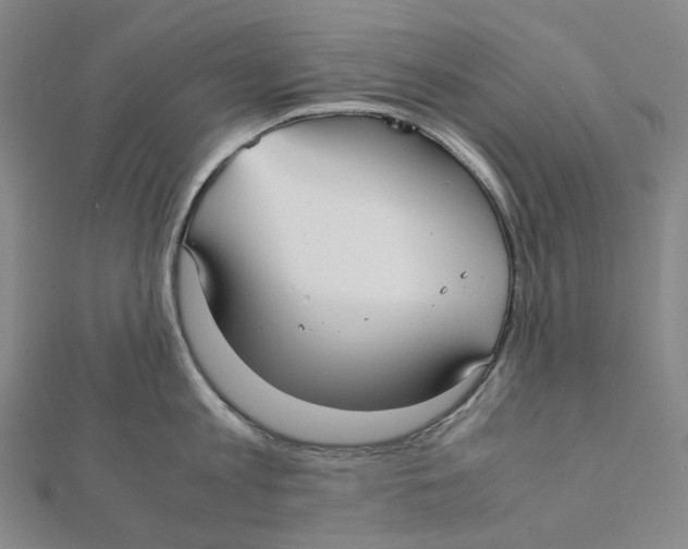 X0000112070813200909011021