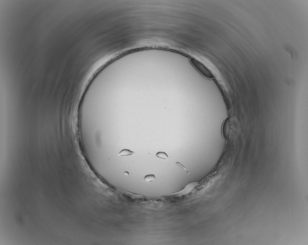 X0000112070815200909011021