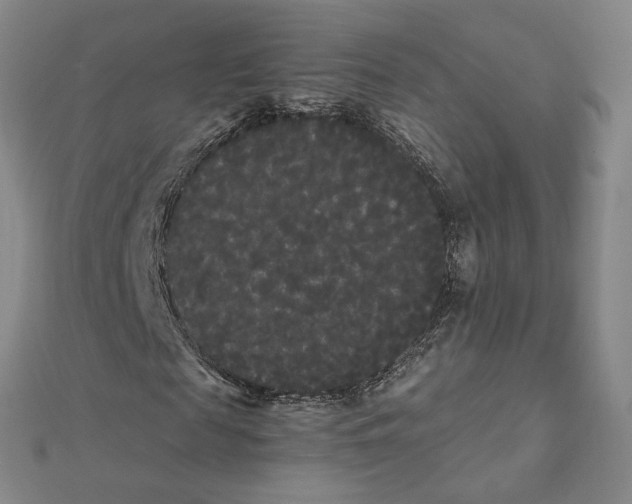 X0000112070817200909011021