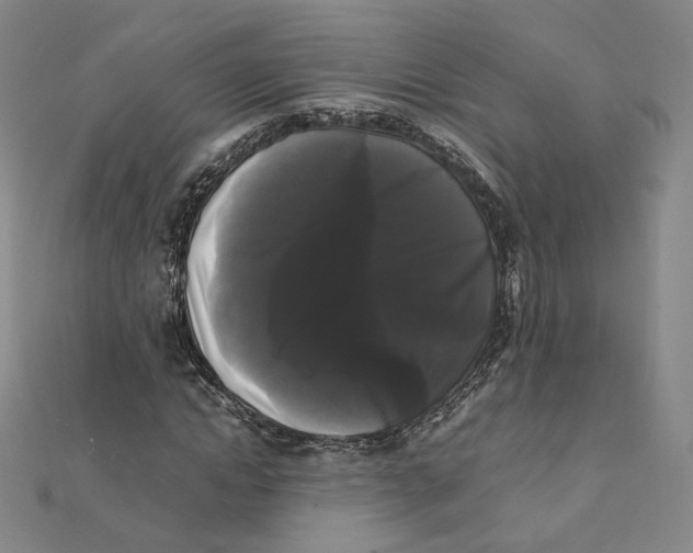 X0000112070822200909011021