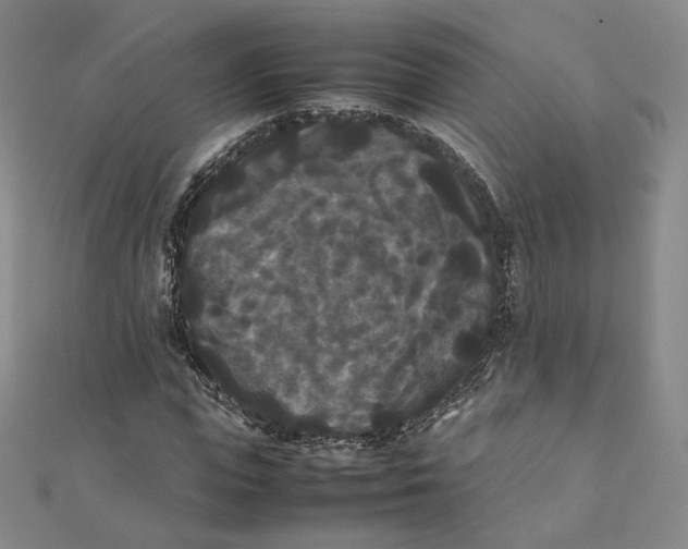 X0000112070823200909011021