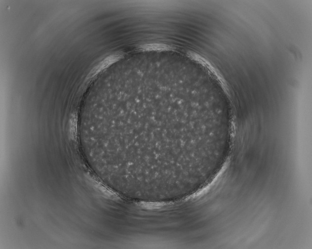 X0000112070825200909011021