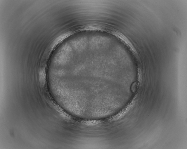X0000112070826200909011021