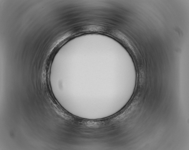 X0000112070827200909011021
