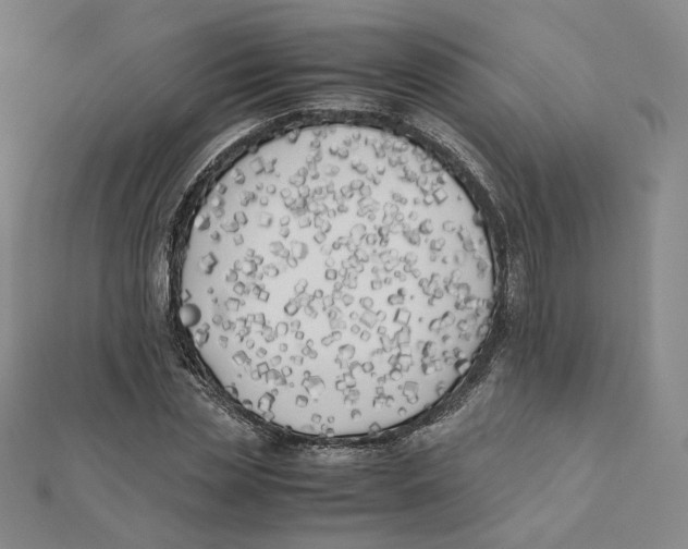 X0000112070829200909011021