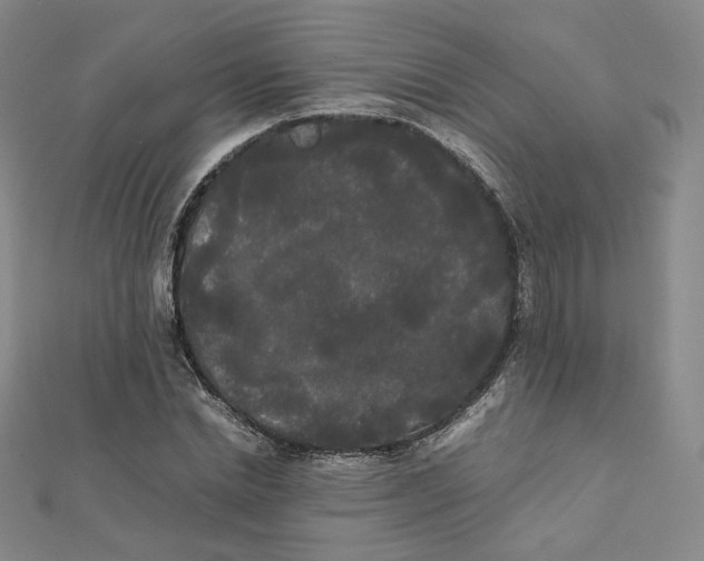 X0000112070830200909011021