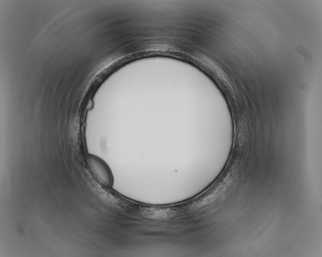 X0000112070831200909011021
