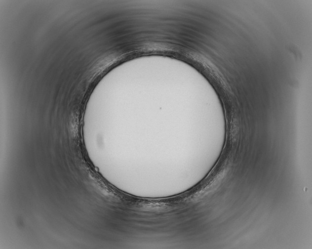 X0000112070833200909011021