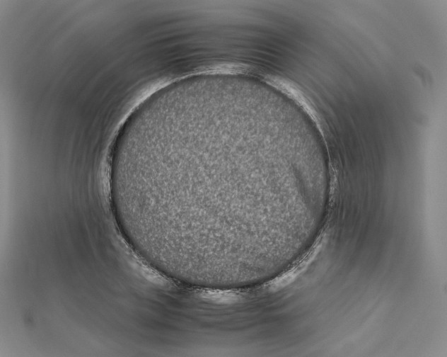 X0000112070835200909011021