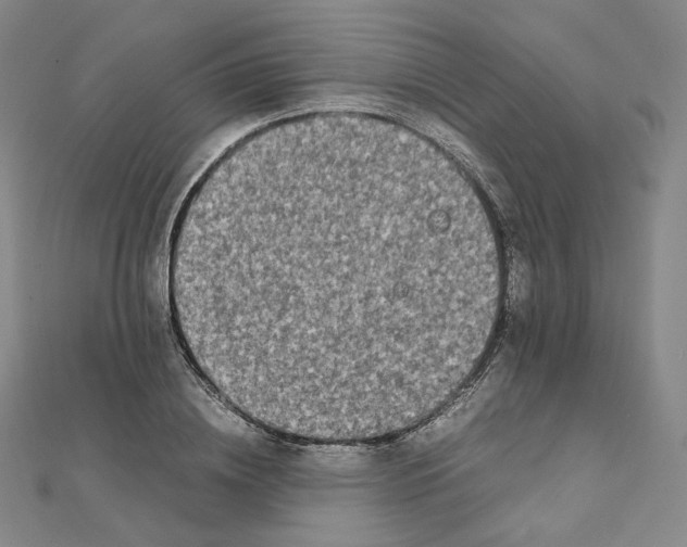 X0000112070836200909011021