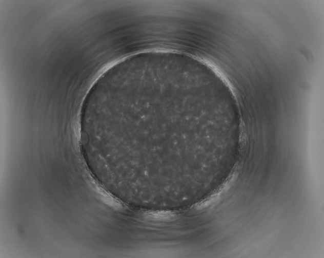 X0000112070837200909011021
