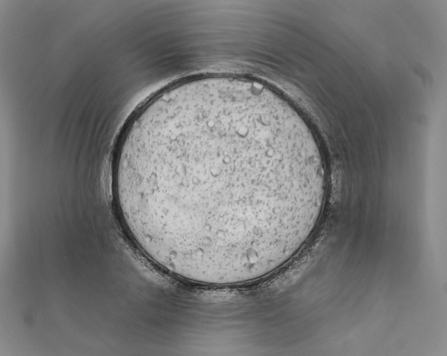 X0000112070838200909011021