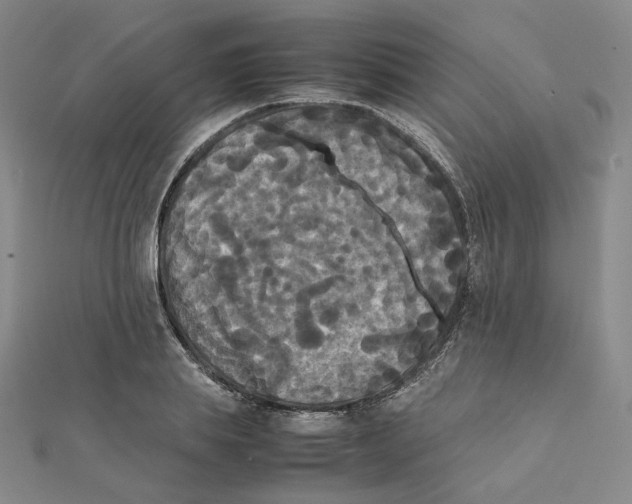 X0000112070839200909011021