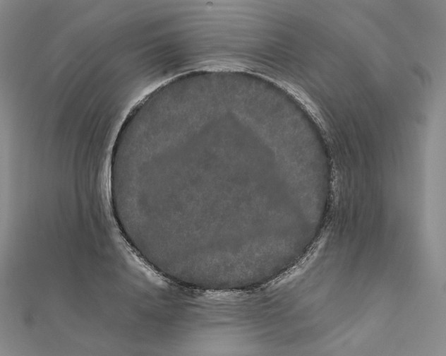X0000112070840200909011021