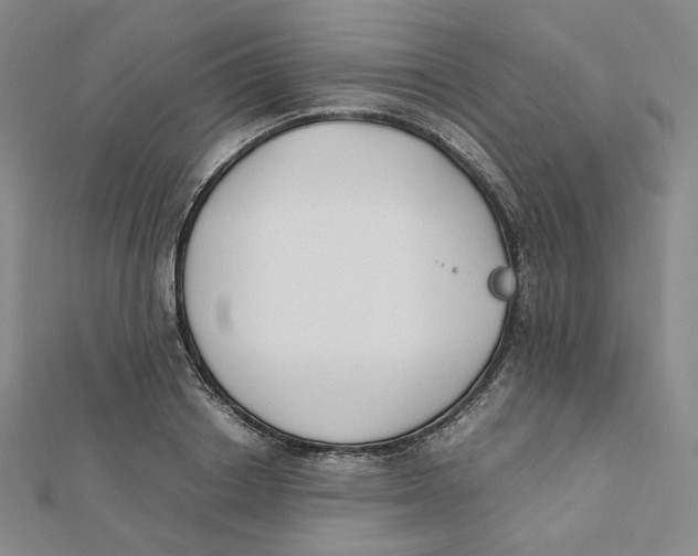 X0000112070842200909011021