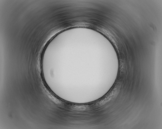 X0000112070843200909011021