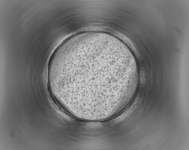 X0000112070844200909011021