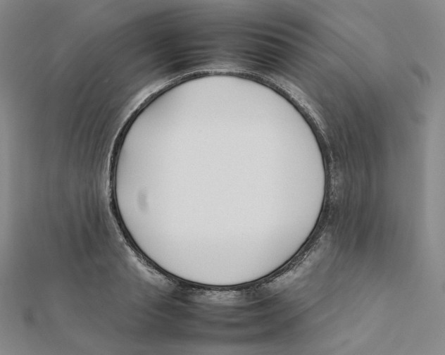 X0000112070845200909011021
