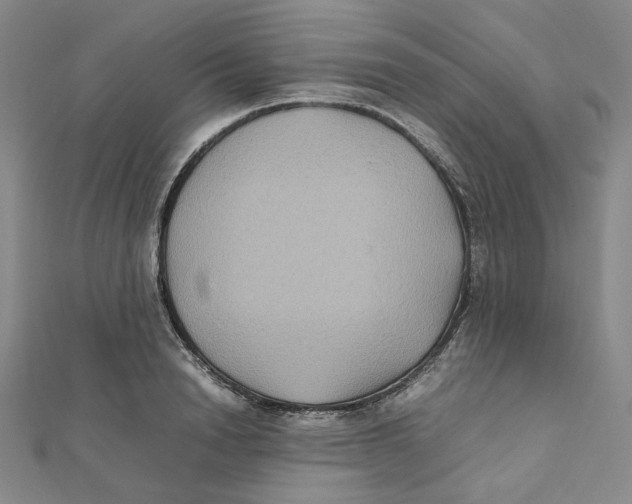 X0000112070846200909011021