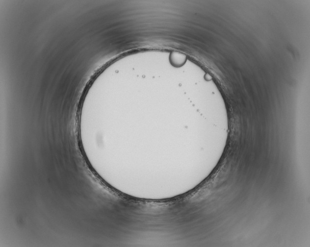X0000112070848200909011021