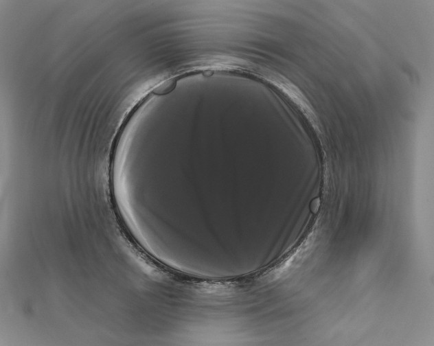 X0000112070850200909011021