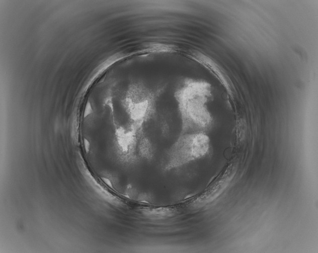 X0000112070851200909011021