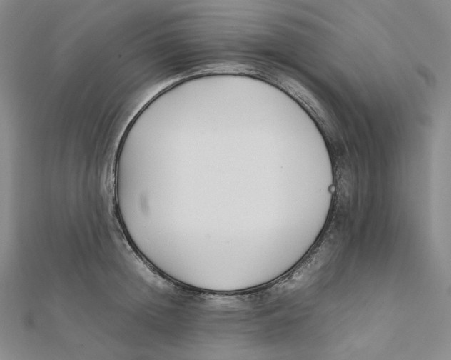 X0000112070852200909011021