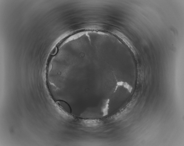 X0000112070853200909011021