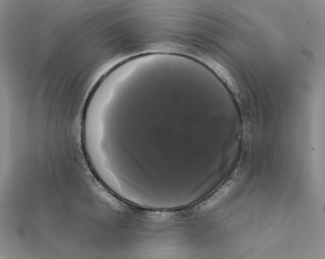 X0000112070854200909011021