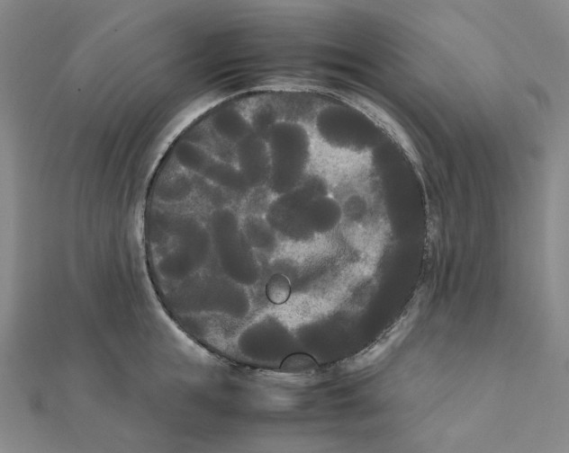 X0000112070855200909011021