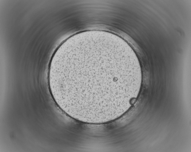 X0000112070856200909011021