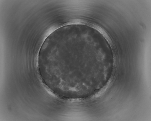 X0000112070858200909011021