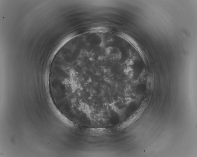 X0000112070859200909011021