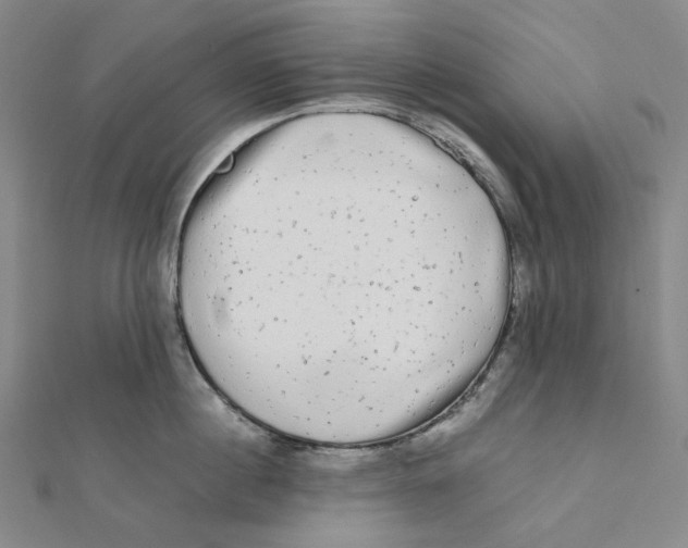 X0000112070860200909011021