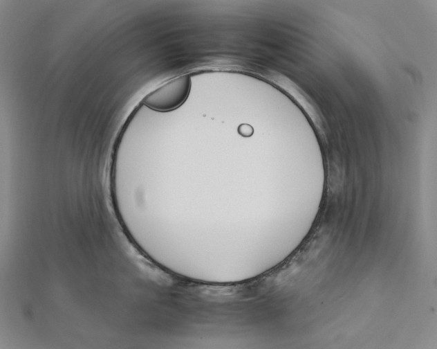 X0000112070861200909011021