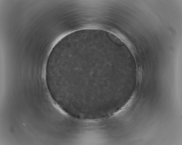 X0000112070862200909011021