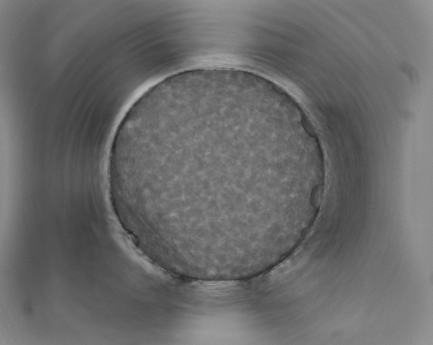 X0000112070864200909011021