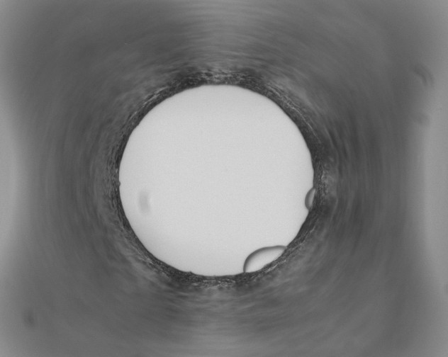 X0000112070865200909011021