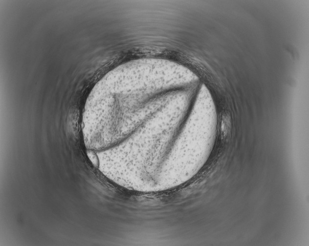 X0000112070867200909011021