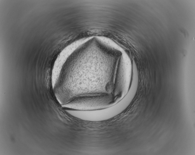 X0000112070868200909011021